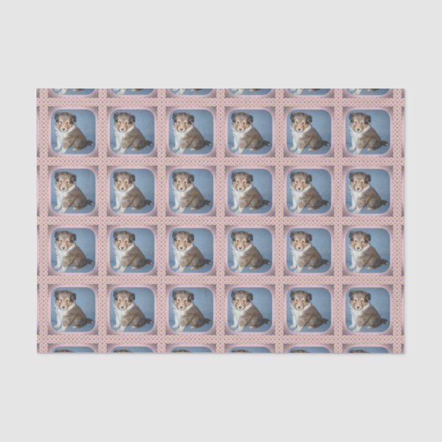 Cute Shetland Sheepdog Puppy Tissue Paper Wrap (Front)