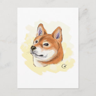 Cute Shiba Inu Dog Drawing Postcard
