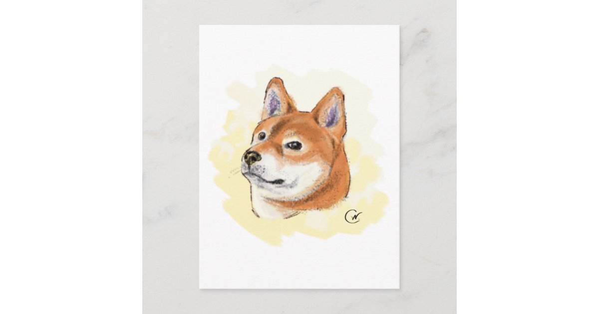 Cute Shiba Inu Dog Drawing Postcard Zazzle Com