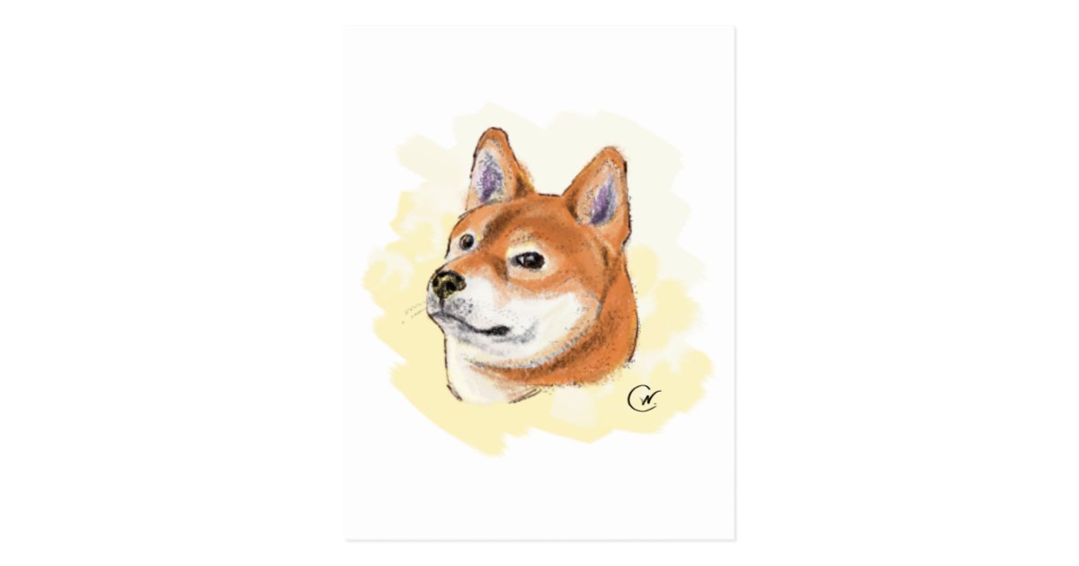 Cute Shiba Inu Dog Drawing Postcard Zazzle Com