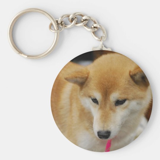 shiba inu keychain plush