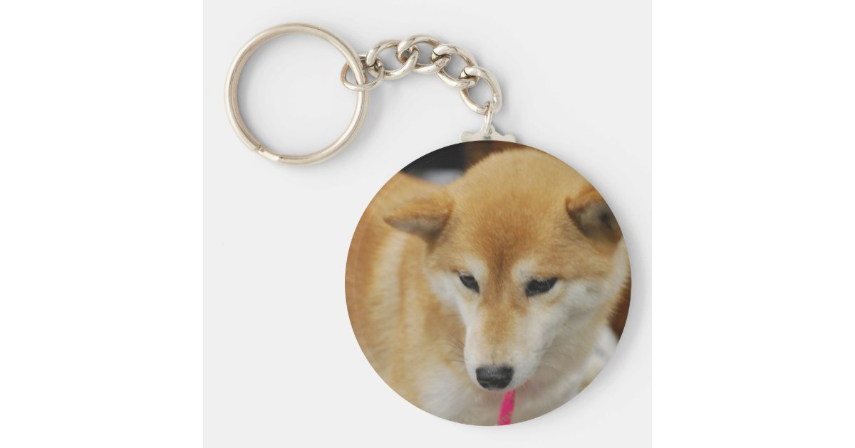 shiba inu plush keychain