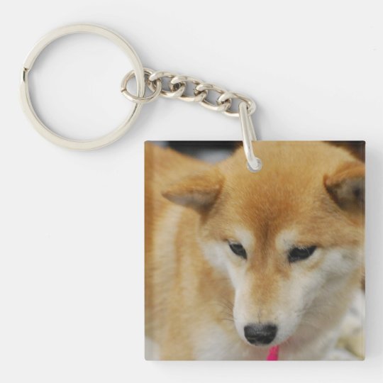 shiba inu keychain plush