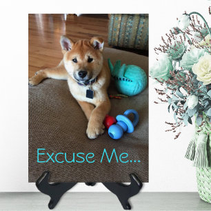 Cute Shiba Inu Puppy with Toys Photo Template