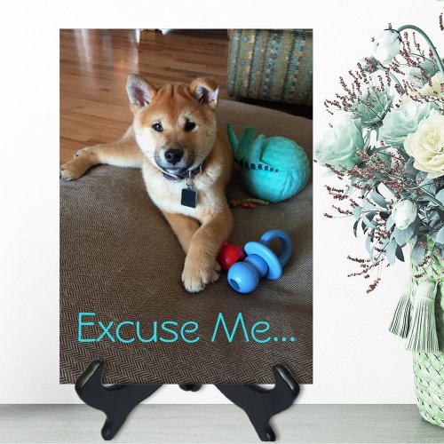 Cute Shiba Inu Puppy with Toys Photo Template