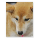 Cute Shiba Inu Temporary Tattoos
