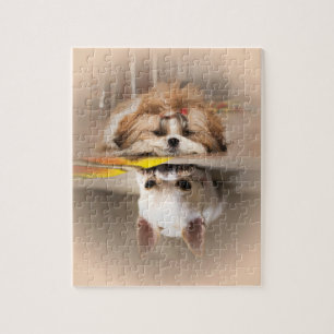 Cute shih tzu and chihuahua jigsaw puzzle