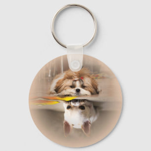 Cute shih tzu and chihuahua keychain