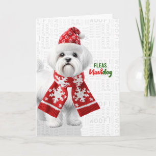 Cute Shih Tzu Dog Funny Fleas Navidog Christmas Holiday Card