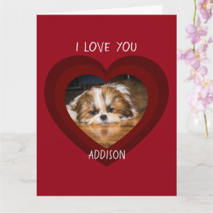 Cute shih tzu love Valentine heart photo Card