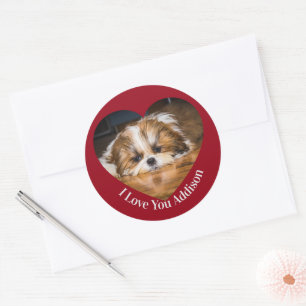 Cute shih tzu love Valentine heart photo Classic Round Sticker