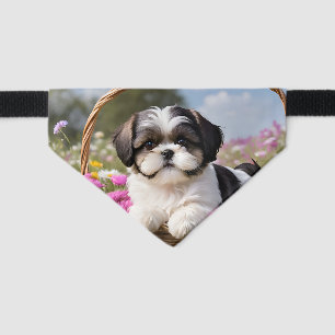 Cute Shih Tzu Puppy Pet Bandana Collar