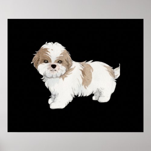 Cute Shih Tzu Puppy Poster