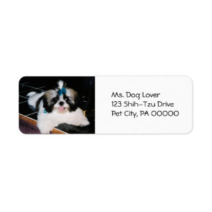 Cute Shih-Tzu Puppy Return Address Labels