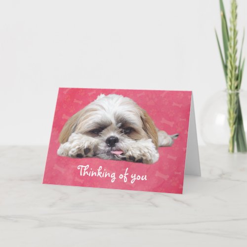 Cute Shih Tzu Puppy Thinking of You Card