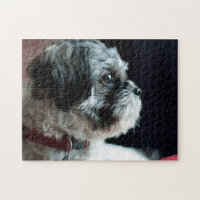 Cute Shih Tzu Puzzle