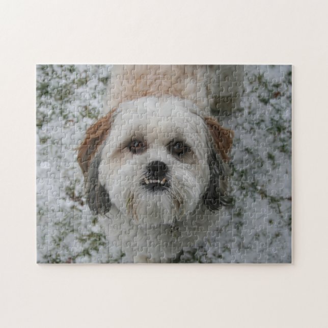 Cute Shih Tzu Underbite Puzzle (Horizontal)