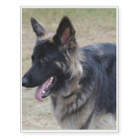 Cute Shiloh Shepherd Temporary Tattoos