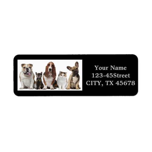 cute short hair cat friends basset hound bull dog label