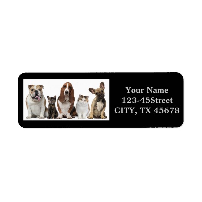 cute short hair cat friends basset hound bull dog label (Front)