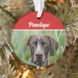 Cute Shorthair Pointer Dog Holiday Christmas Photo Ornament