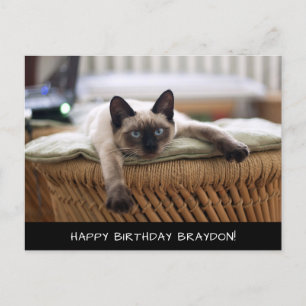 Cute Siamese Cat Birthday Postcard
