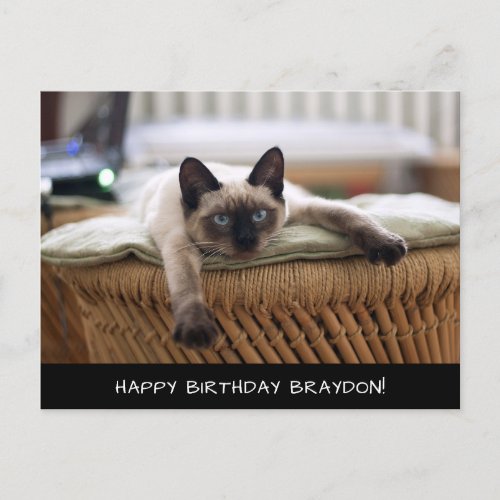 Cute Siamese Cat Birthday Postcard