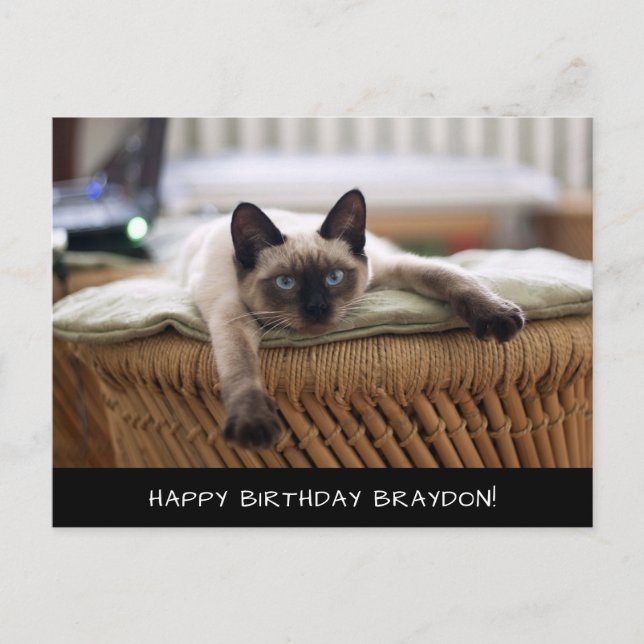 Cute Siamese Cat Birthday Postcard (Front)