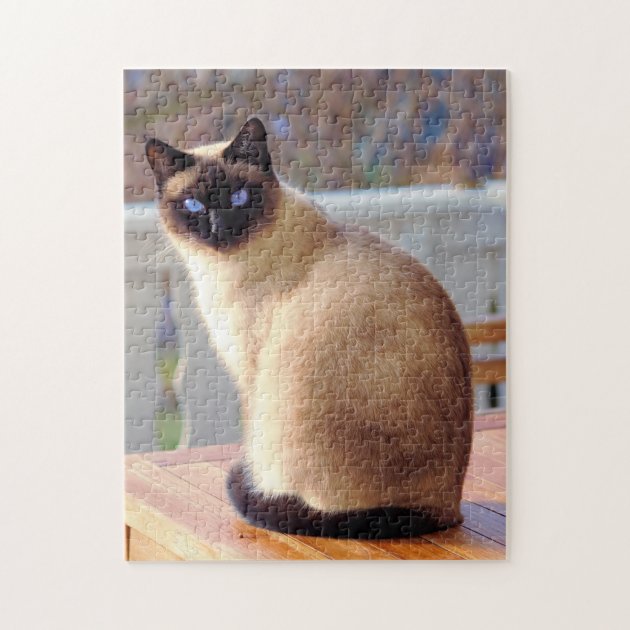 Siamese cat hot sale jigsaw puzzle