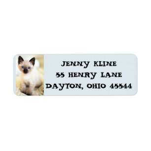 CUTE SIAMESE CAT KITTEN RETURN ADDRESS LABELS