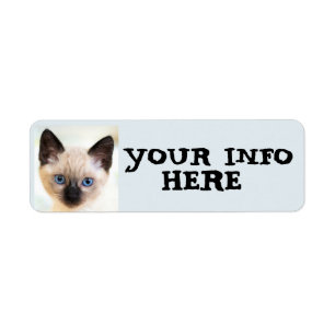 CUTE SIAMESE CAT KITTEN RETURN ADDRESS LABELS