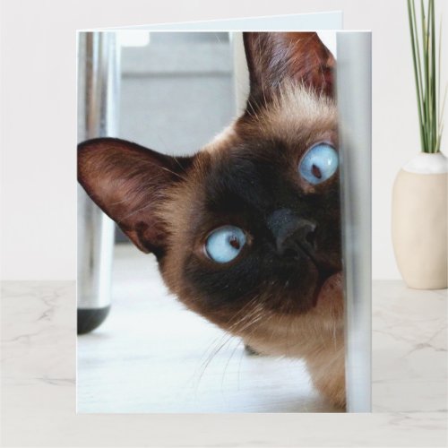 CUTE SIAMESE CAT PEEKING HAPPY BIRTHDAY CARD