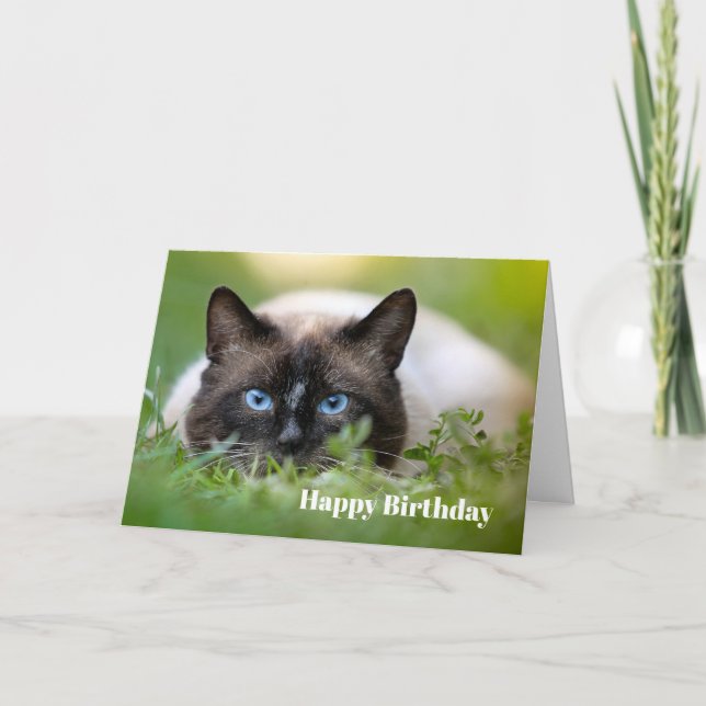 Cute Siamese Cat Photo Birthday Card (Front)