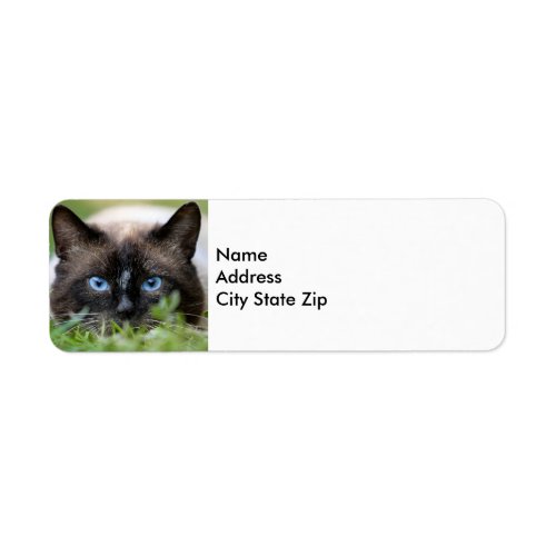 Cute Siamese Cat Photo Label
