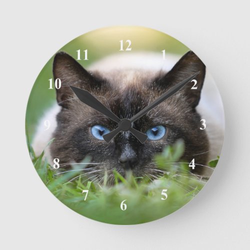 Cute Siamese Cat Photo Round Clock