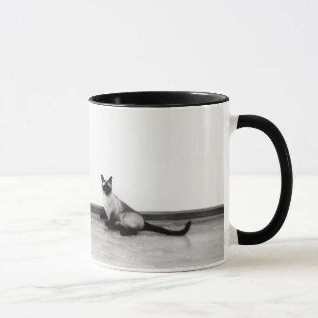 CUTE Siamese Cat Photograph Mug (Right)