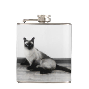 CUTE Siamese Cat Portrait Photograph Flask