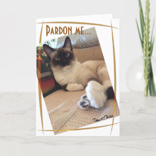 Cute Siamese Kitten Close-up Photograph Custom Card