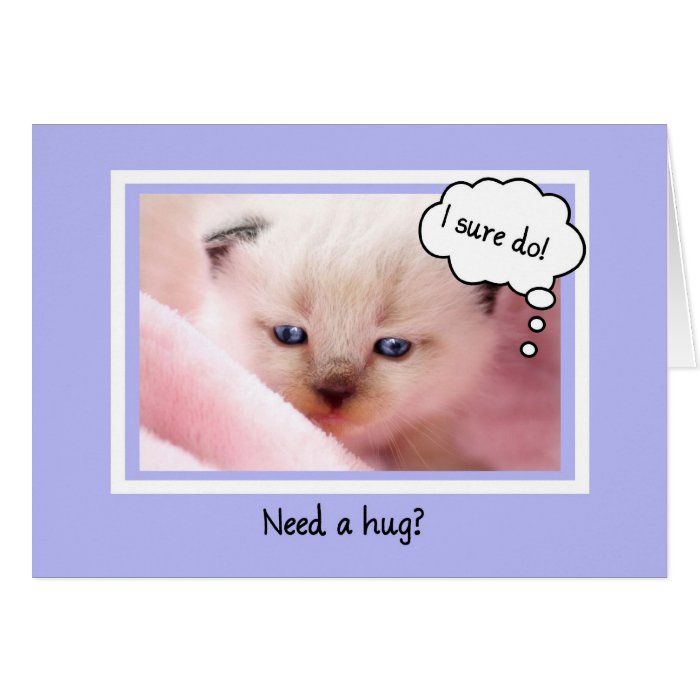 Cute Siamese Kitten, Need A Hug, Encouragement Greeting Card