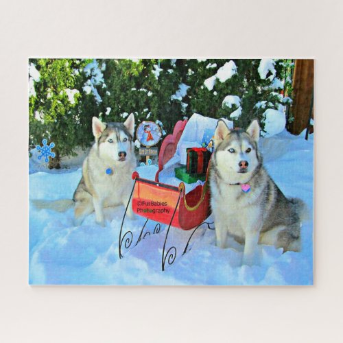 Cute Siberian Huskies Christmas Puzzle