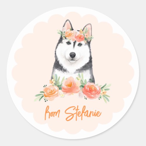 Cute Siberian Husky and Peach Flowers Birthday Classic Round Sticker