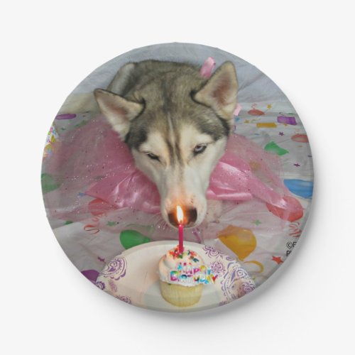 Cute Siberian Husky Birthday Plate