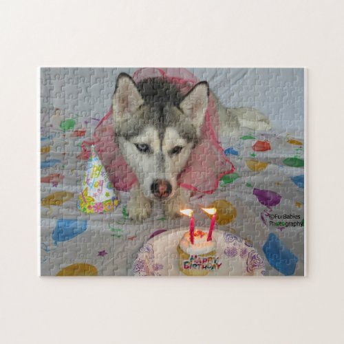 Cute Siberian Husky Birthday Puzzle