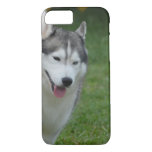 Cute Siberian Husky iPhone 8/7 Case