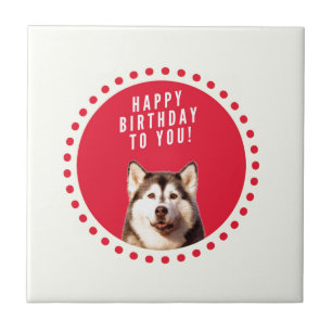 Cute Siberian Husky Dog Happy Birthday Ceramic Tile