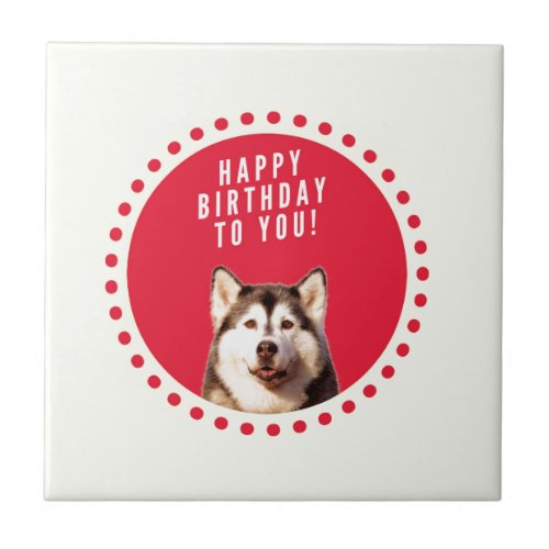 Cute Siberian Husky Dog Happy Birthday Ceramic Tile