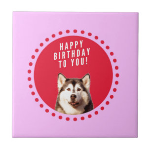 Cute Siberian Husky Dog Wishing Happy Birthday Ceramic Tile