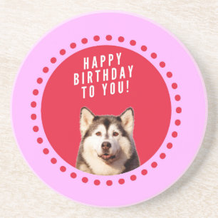 Cute Siberian Husky Dog Wishing Happy Birthday Sandstone Coaster