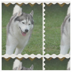 Cute Siberian Husky Fabric