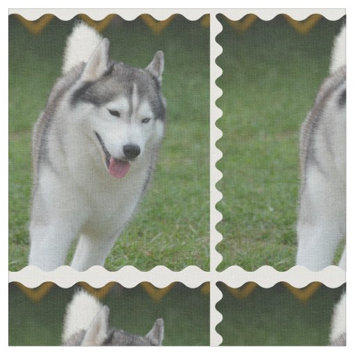 Cute Siberian Husky Fabric